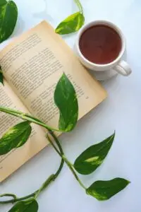 tea leaves reading