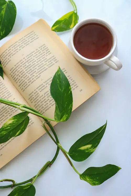 tea leaves reading